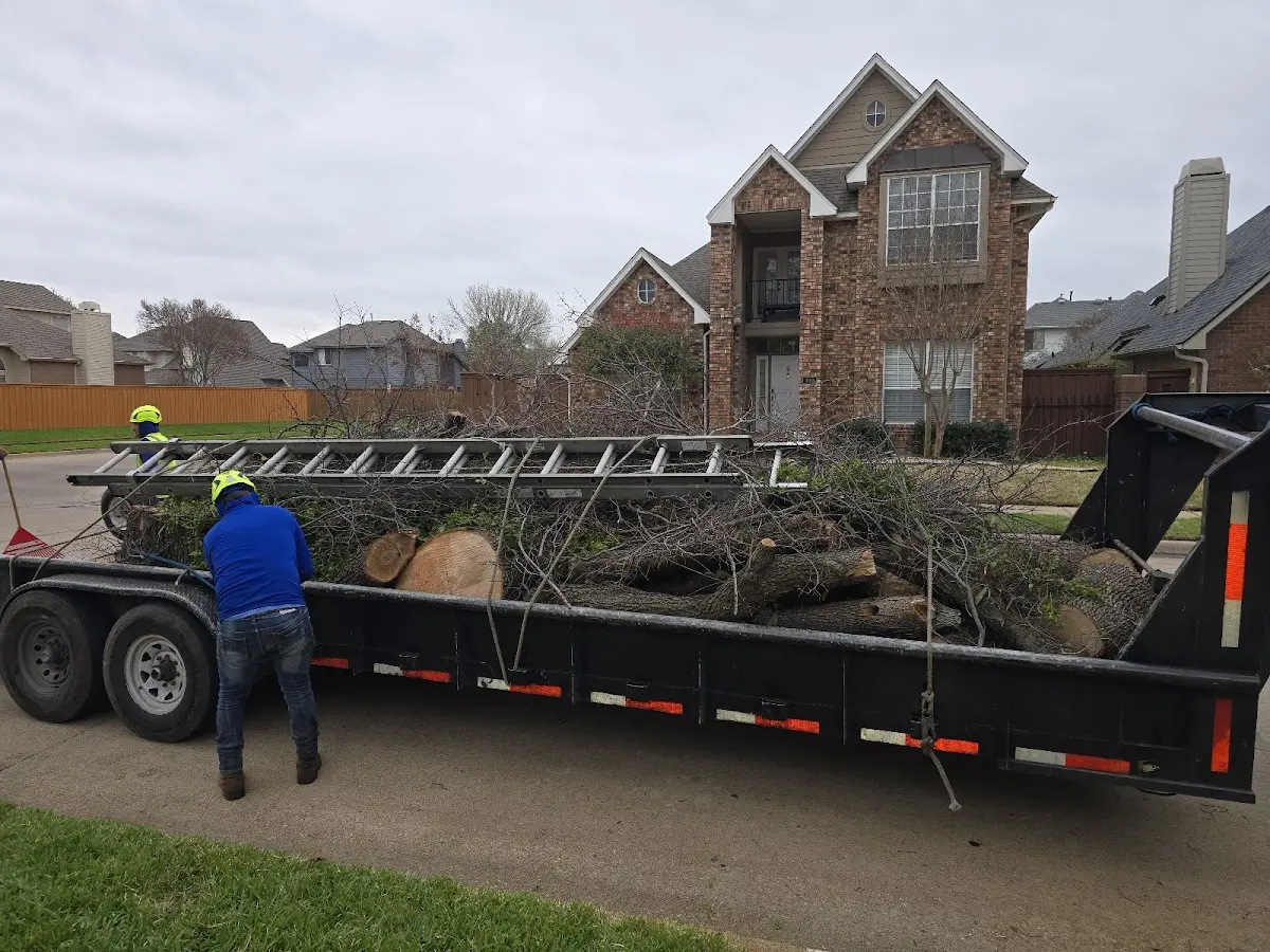 Expert Tree Removal with proper safety equipment in Atoka
